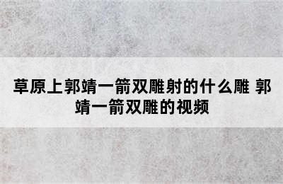 草原上郭靖一箭双雕射的什么雕 郭靖一箭双雕的视频